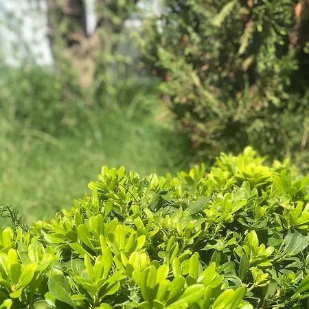 Lodos Suites & Rezidans Szálloda *