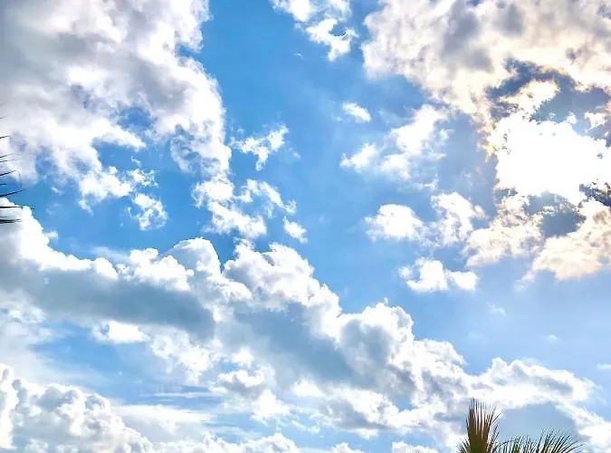 Lodos Suites & Rezidans فندق